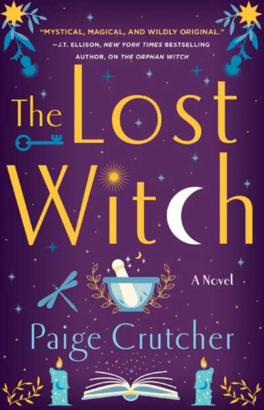 The Lost Witch A Novel