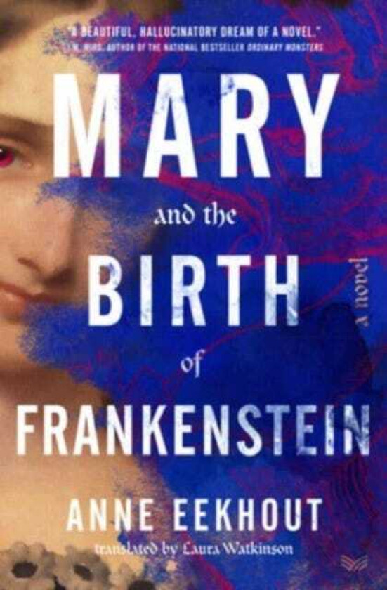 Mary and the Birth of Frankenstein  A Novel