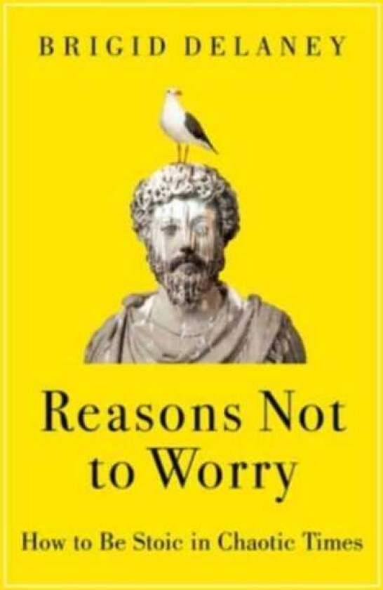 Reasons Not to Worry How to Be Stoic in Chaotic Times