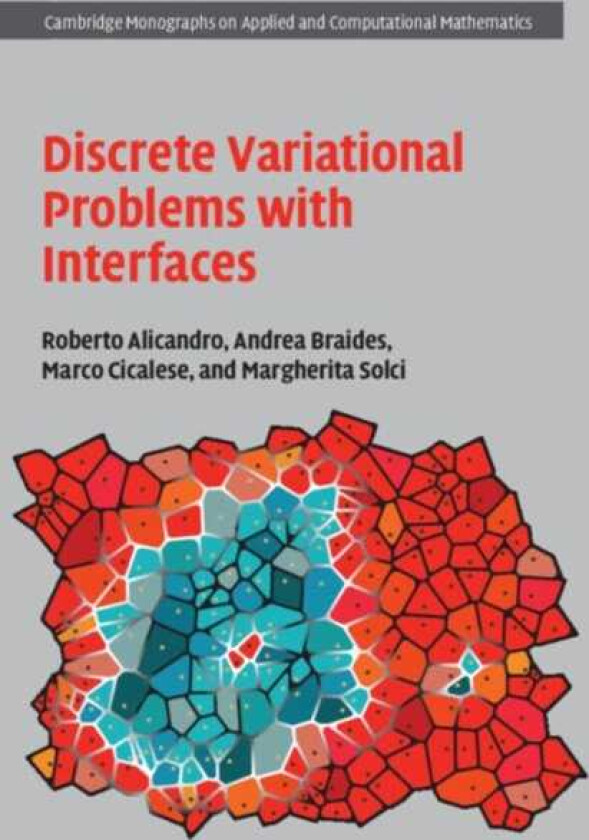 Discrete Variational Problems with Interfaces
