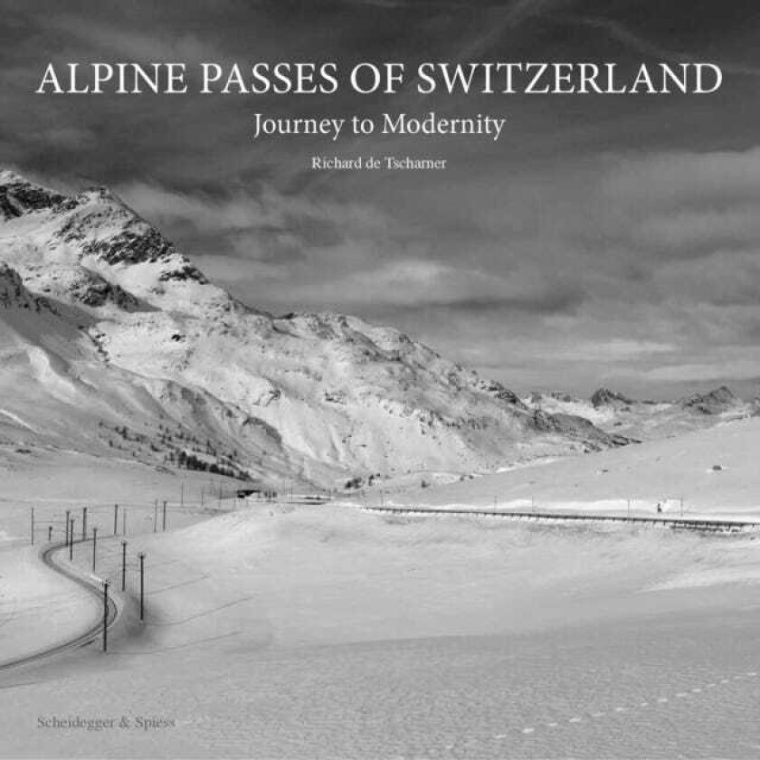 Alpine Passes of Switzerland  Journey to Modernity