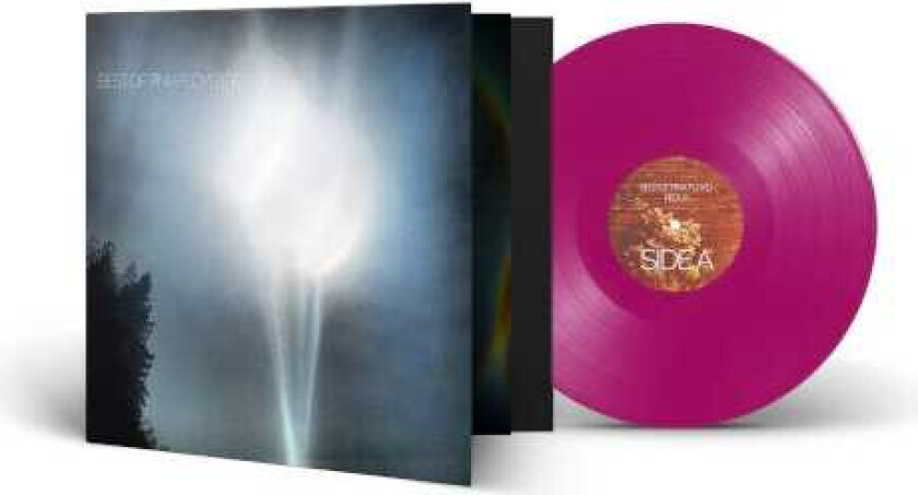 Pink Floyd Tribute Best Of Pink Floyd (Redux) LP/Vinyl