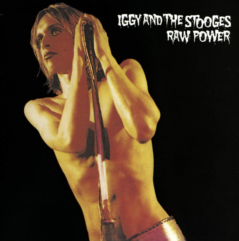 Iggy And The Stooges, The Stooges  Raw Power  CD