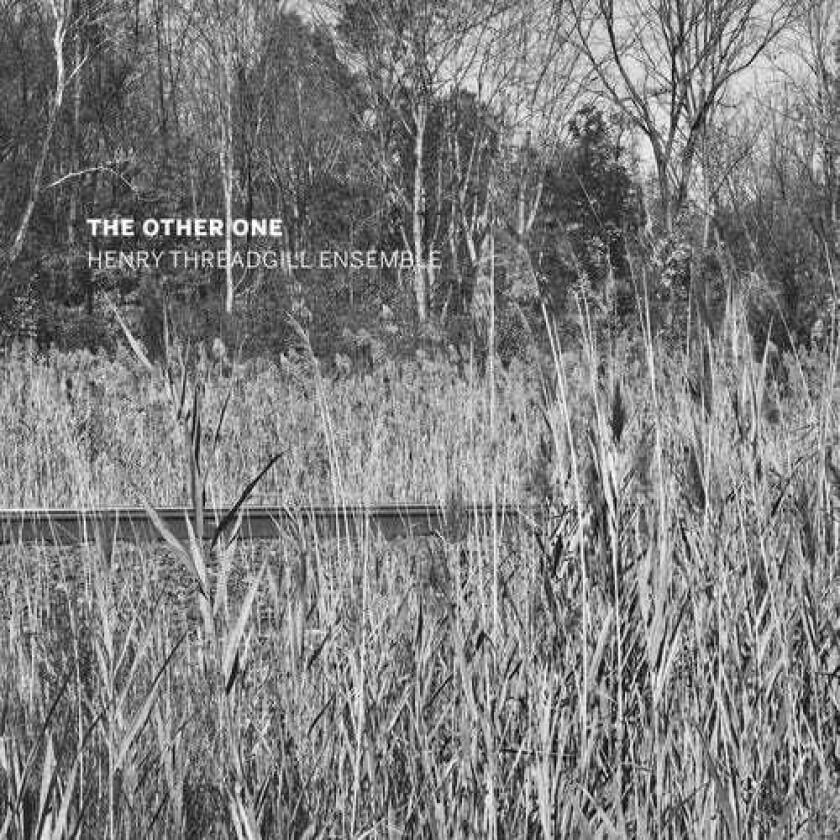 Henry Threadgill Ensemble  The Other One  CD