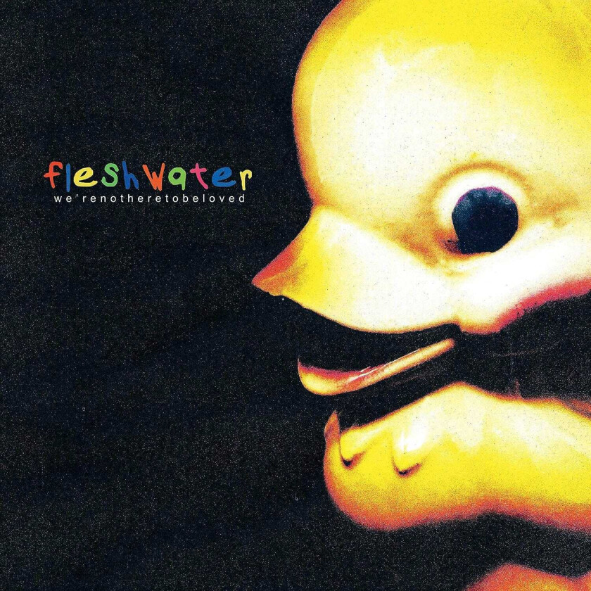 Fleshwater We're Not Here To Be Loved CD