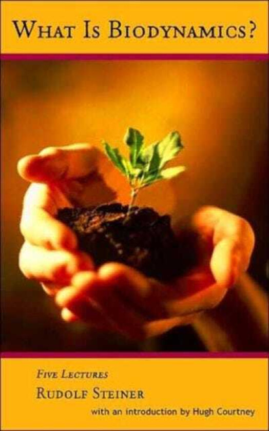 What is Biodynamics? A Way to Heal and Revitalize the Earth