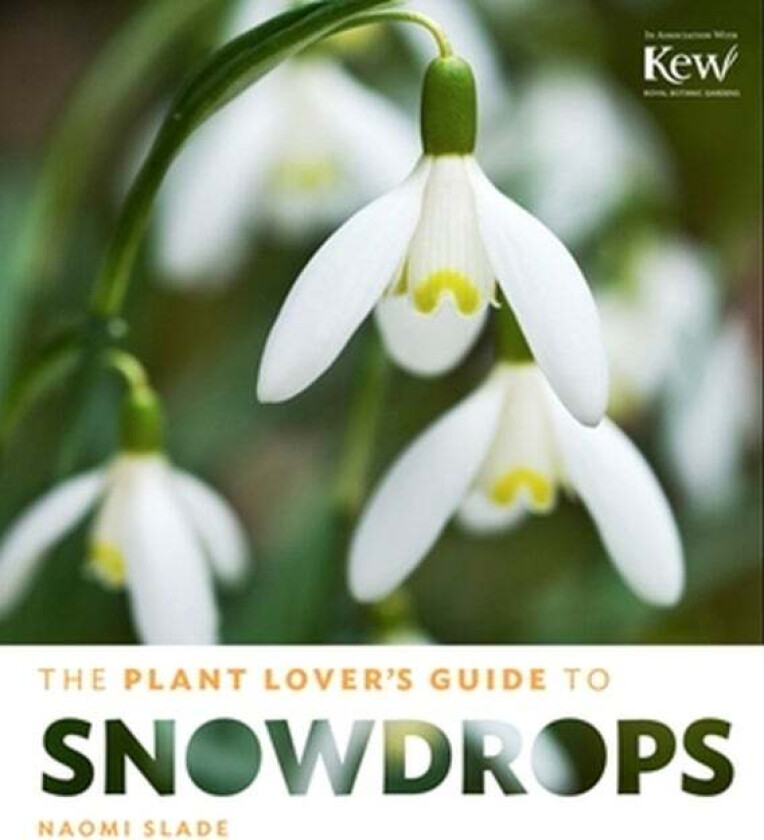 The Plant Lover's Guide to Snowdrops av Naomi Slade