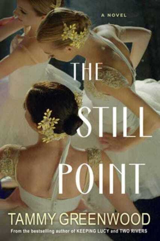 The Still Point An Addictive Novel of Desire and Jealousy