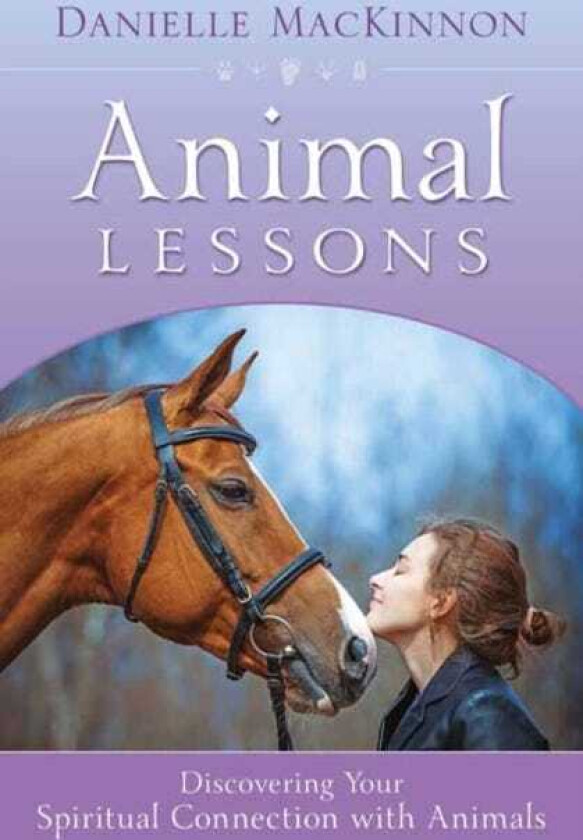 Animal Lessons Discovering Your Spiritual Connection with Animals