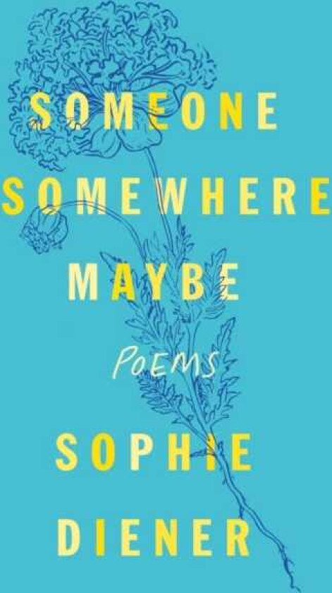 Someone Somewhere Maybe Poems