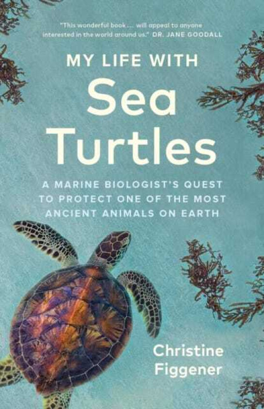 My Life with Sea Turtles A Marine Biologist's Quest to Protect One of the Most Ancient Animals on Earth