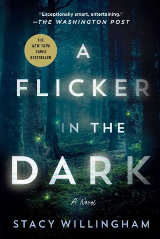 A Flicker in the Dark A Novel