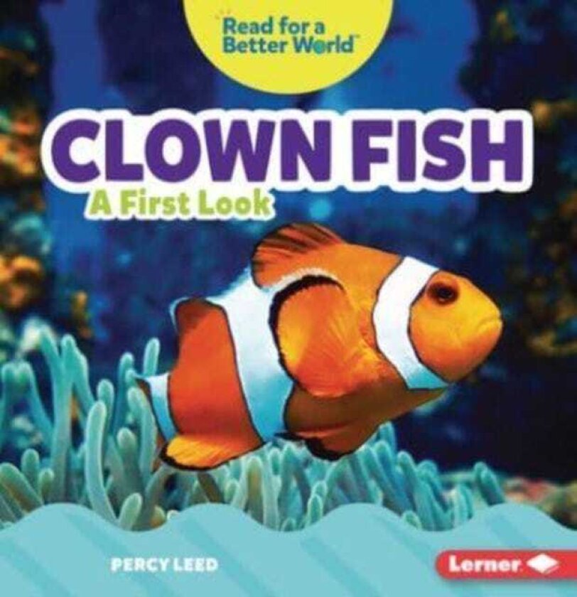 Clown Fish A First Look