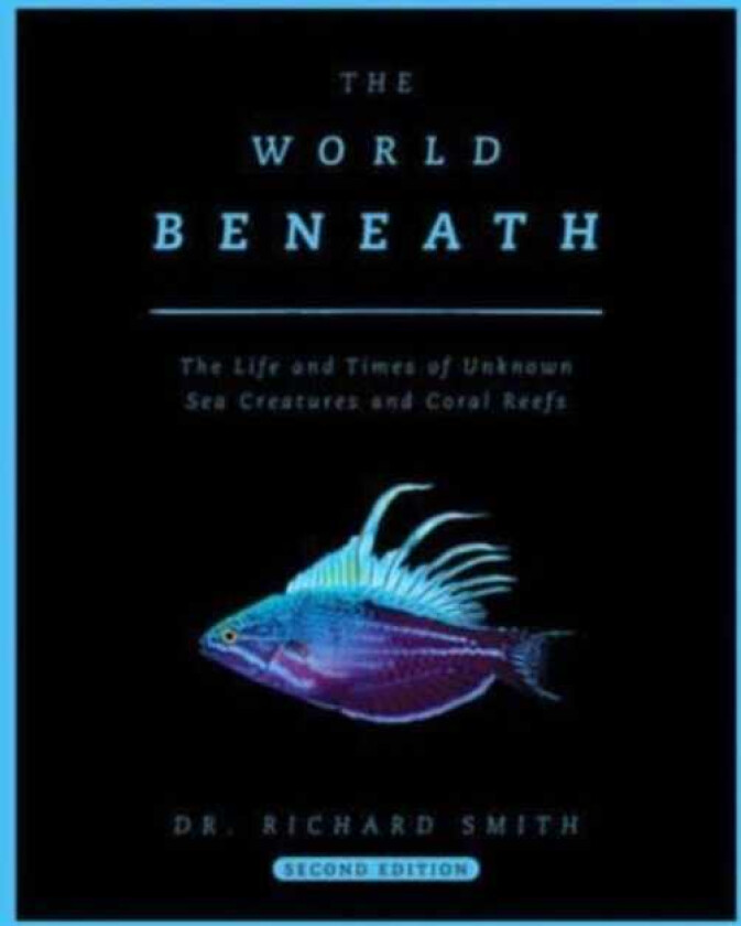 The World Beneath The Life and Times of Unknown Sea Creatures and Coral Reefs