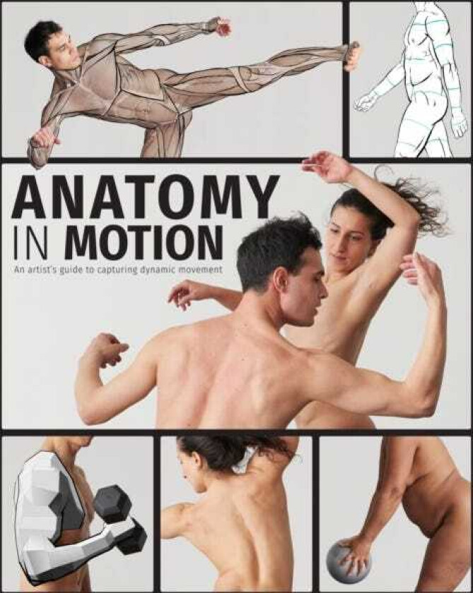 Anatomy in Motion  An artist's guide to capturing dynamic movement