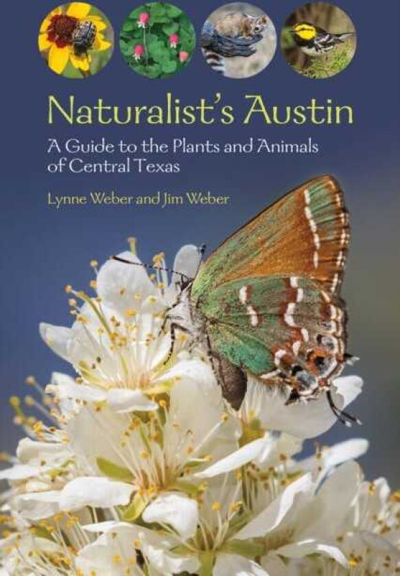 Naturalist's Austin A Guide to the Plants and Animals of Central Texas
