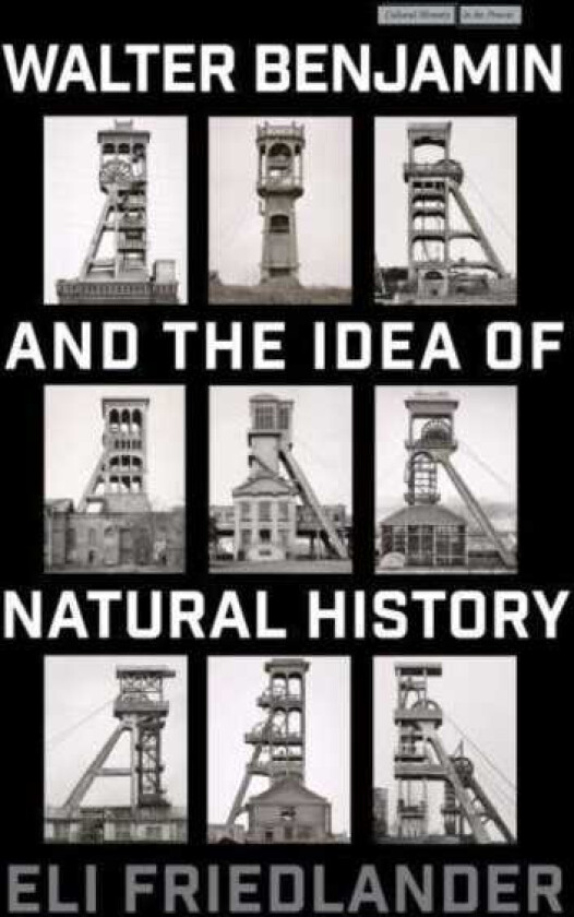 Walter Benjamin and the Idea of Natural History