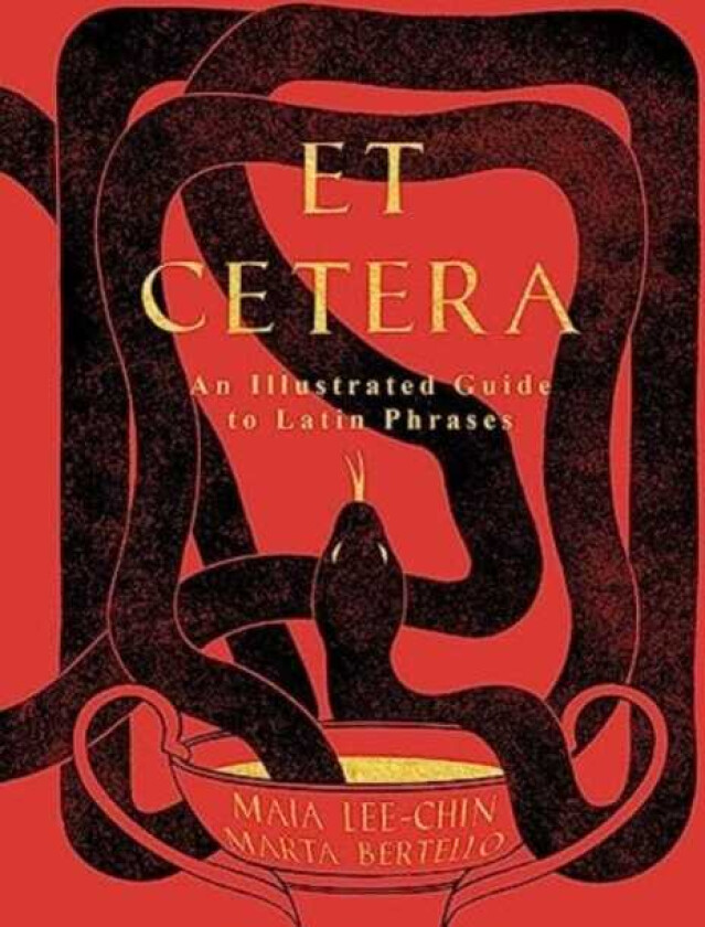 Et Cetera An Illustrated Guide to Latin Phrases