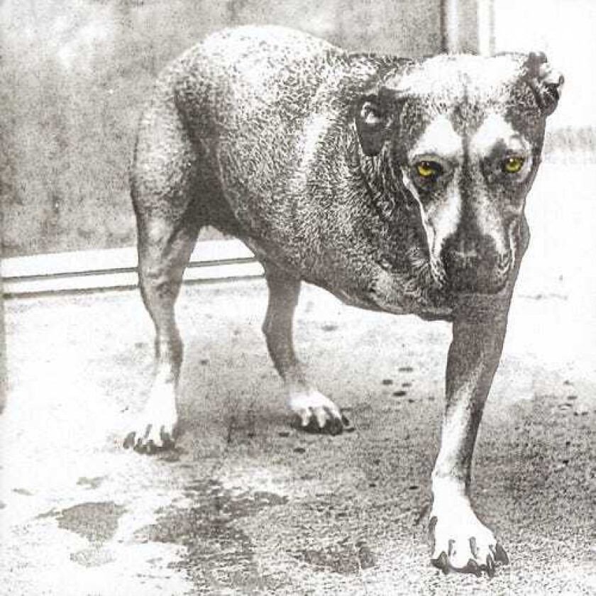 Alice In Chains Alice In Chains CD