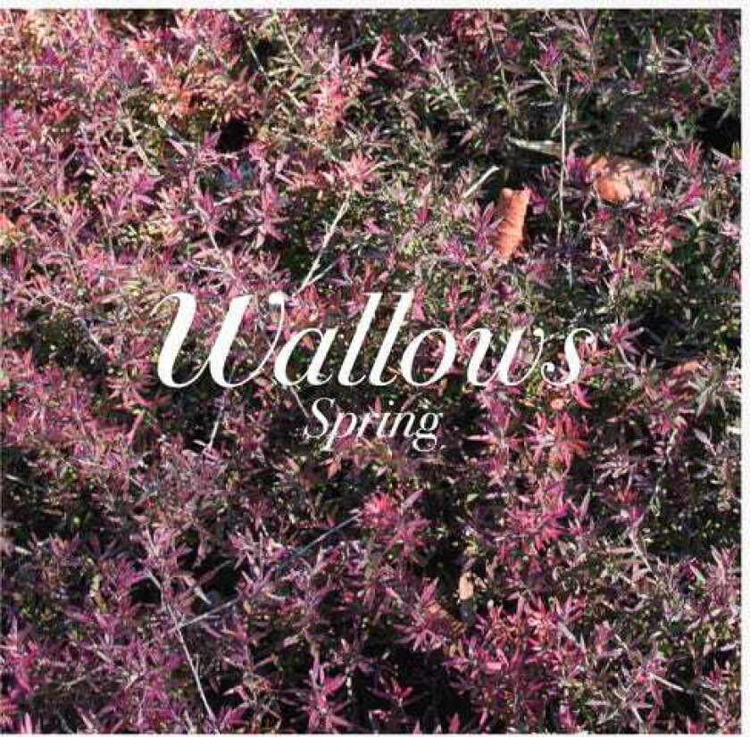 Wallows Spring EP CD