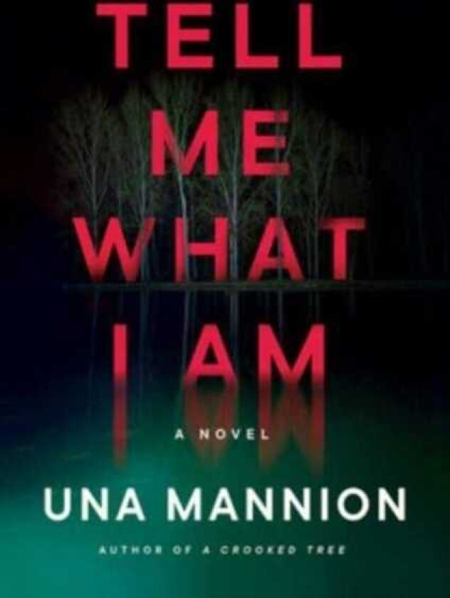 Tell Me What I Am A Novel