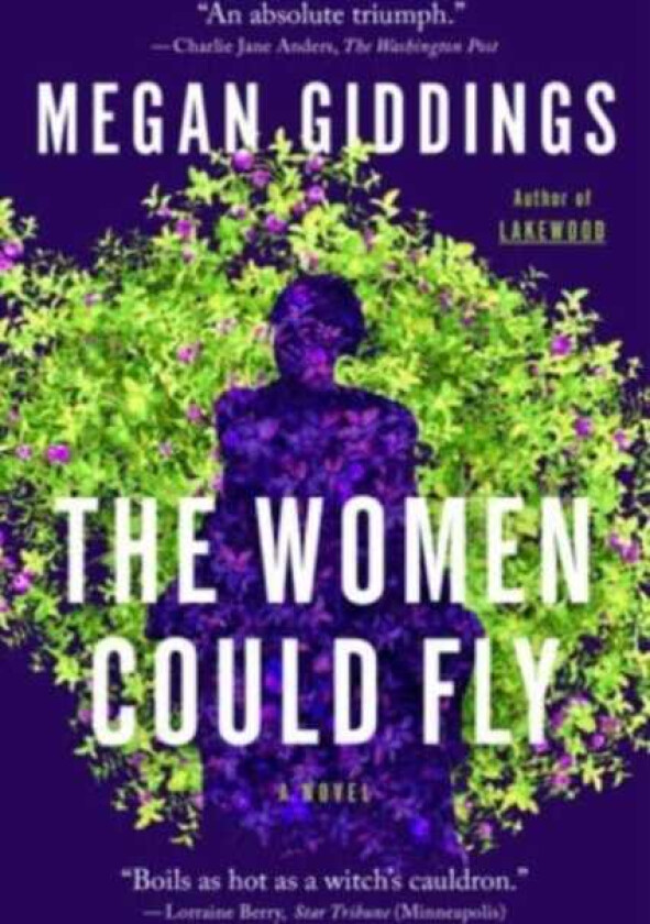 The Women Could Fly A Novel