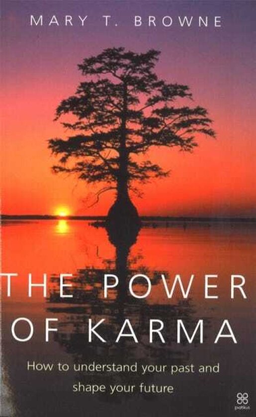 The Power Of Karma How to understand your past and shape your future