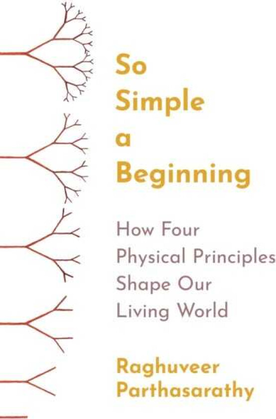 So Simple a Beginning How Four Physical Principles Shape Our Living World