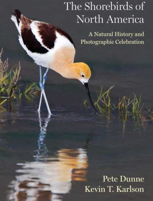 The Shorebirds of North America A Natural History and Photographic Celebration