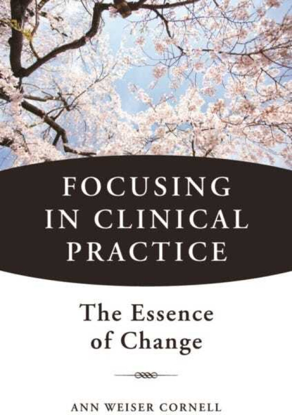 Focusing in Clinical Practice The Essence of Change