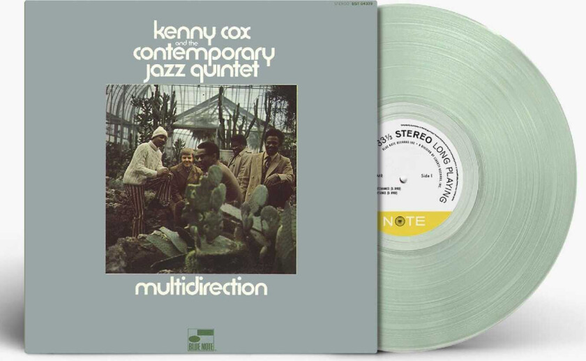 Kenny Cox Multidirection LP/Vinyl