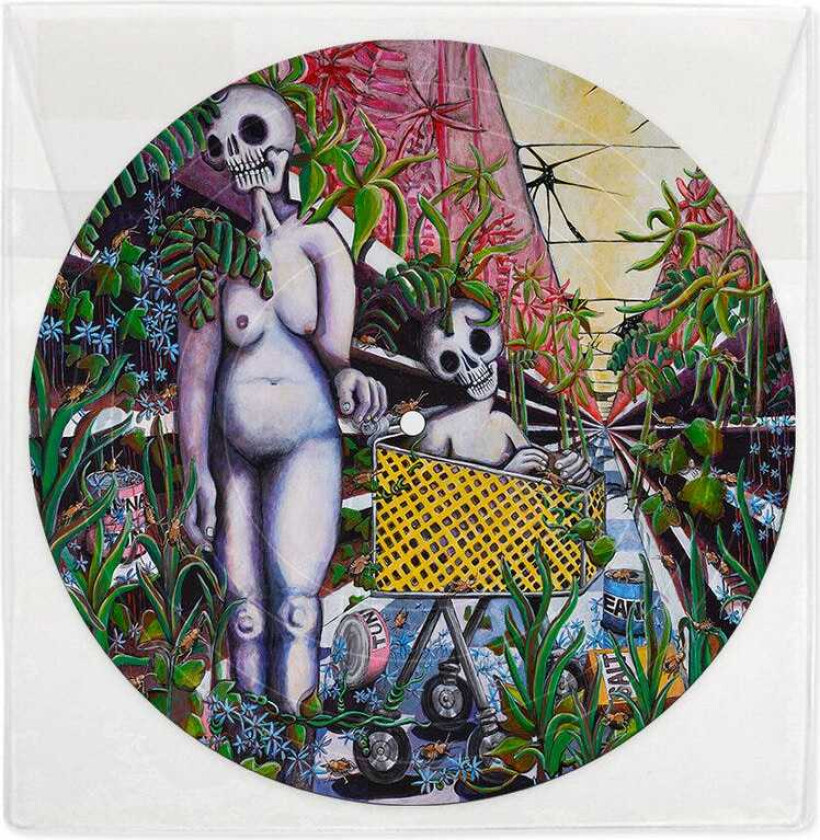 Indigo De Souza Any Shape You Take LP/Vinyl