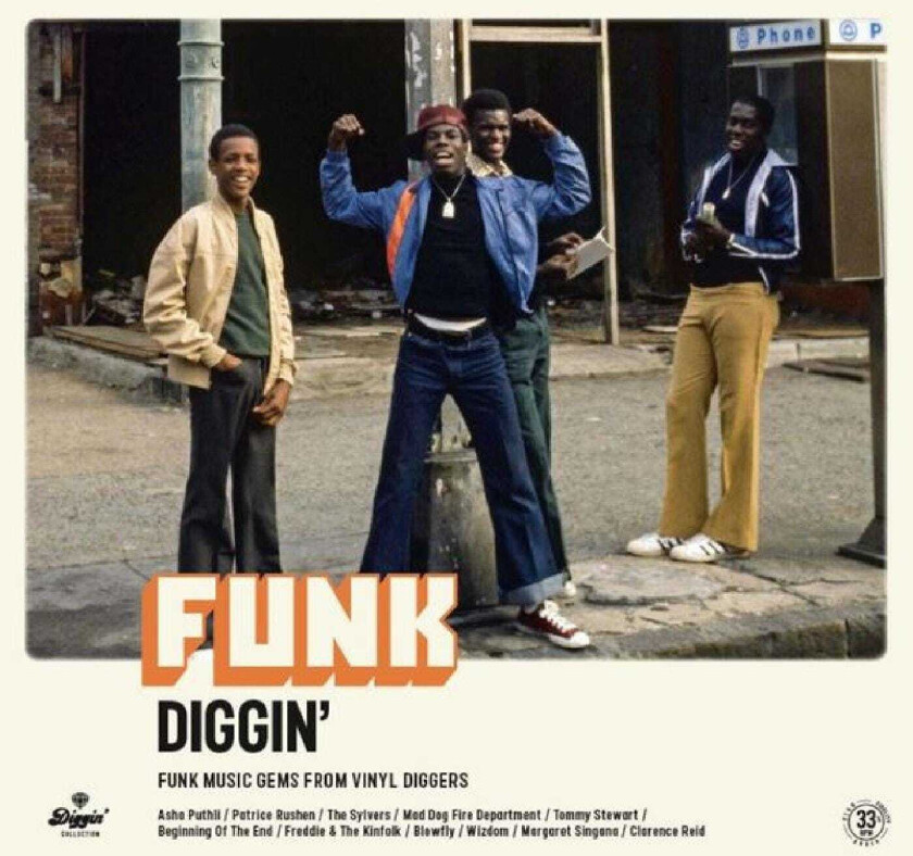 Diverse Soul Funk Diggin' LP/Vinyl