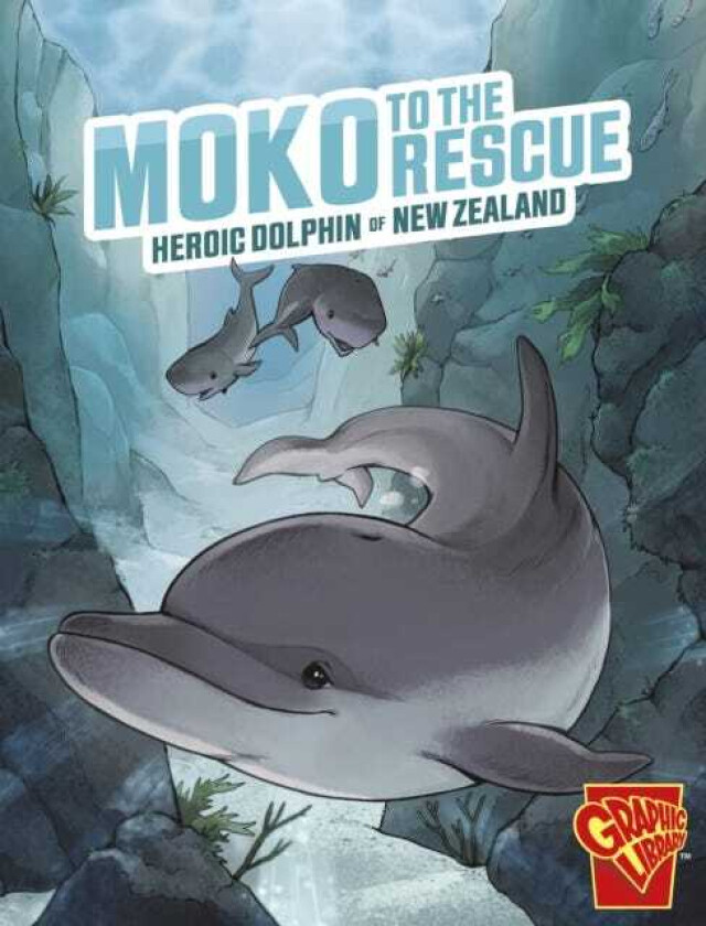 Moko to the Rescue Heroic Dolphin of New Zealand