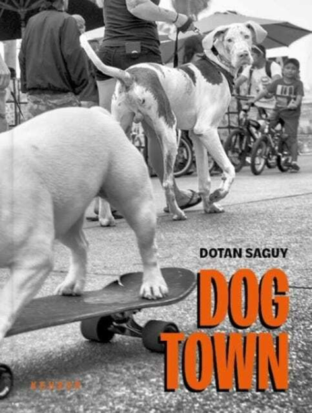 Dog Town The Canines of Venice Beach