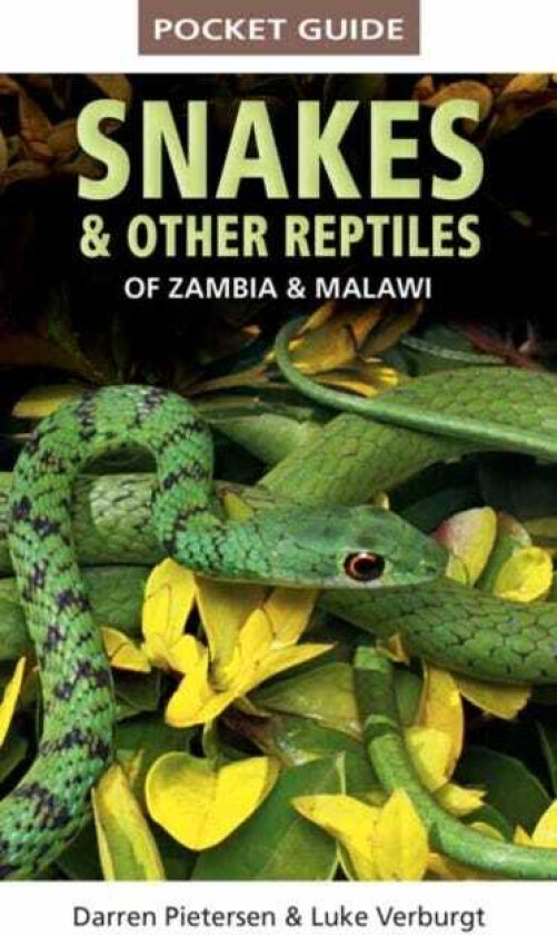 Pocket Guide to Snakes & Other Reptiles of Zambia and Malawi