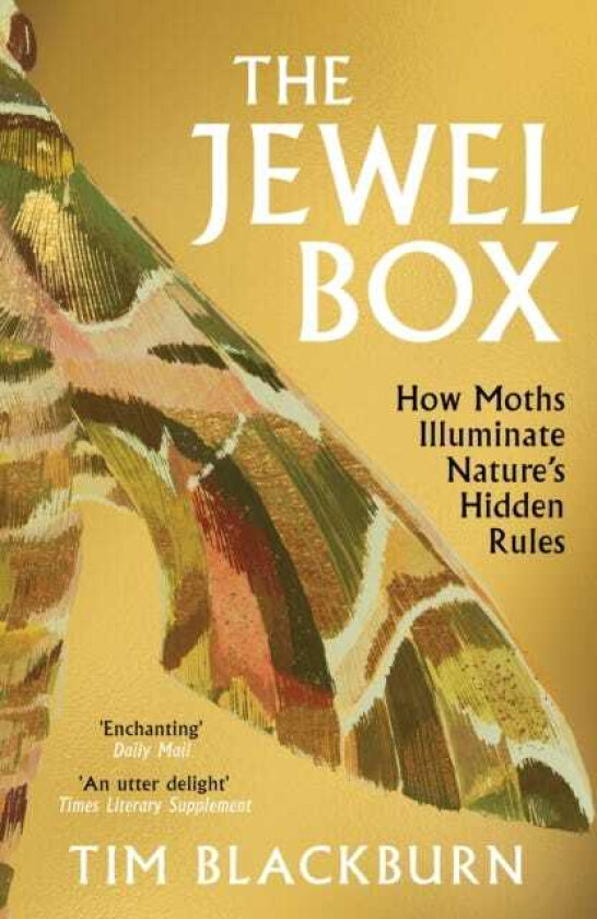 The Jewel Box How Moths Illuminate Nature’s Hidden Rules