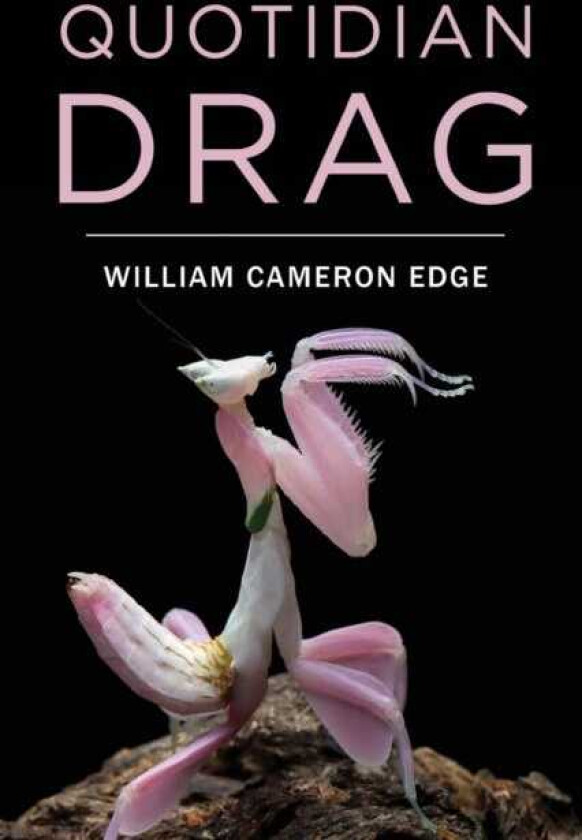 Quotidian Drag