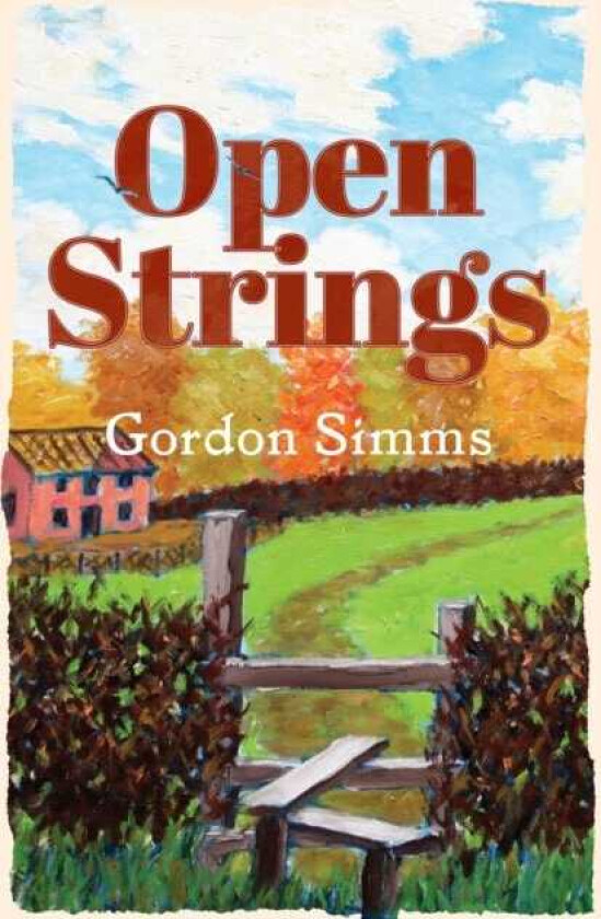 Open Strings