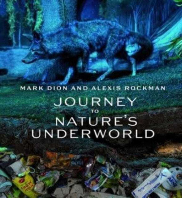 Mark Dion and Alexis Rockman  Journey to Nature's Underworld