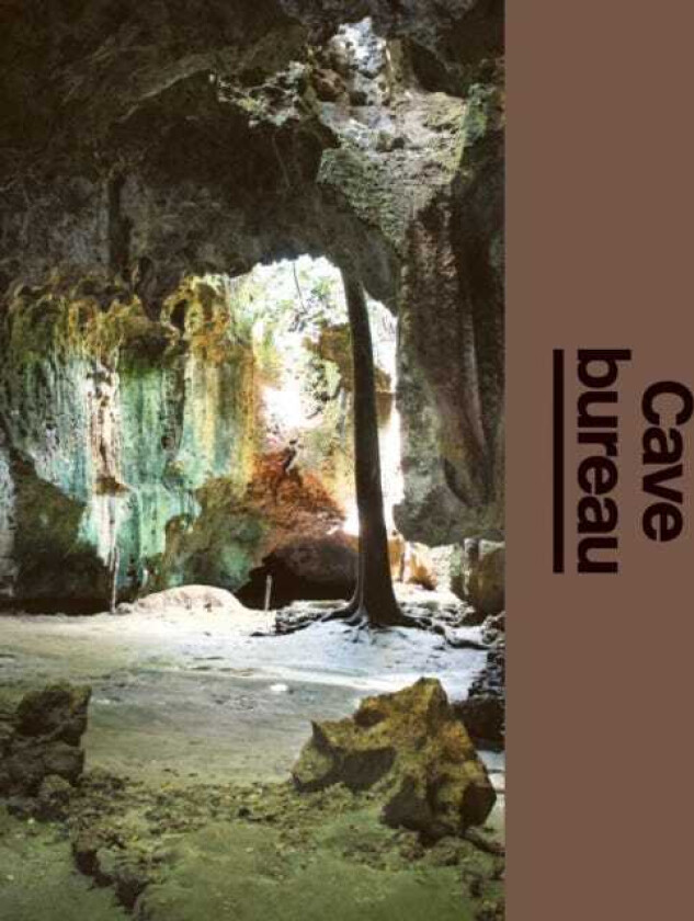 Cave Bureau: The Architect's Studio