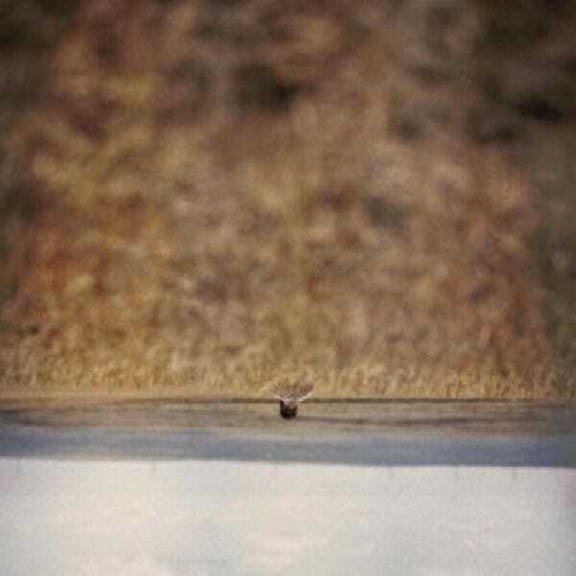 Jim O'Rourke, Filmmusikk Hands That Bind Original Motion Picture Soundtrack LP/Vinyl