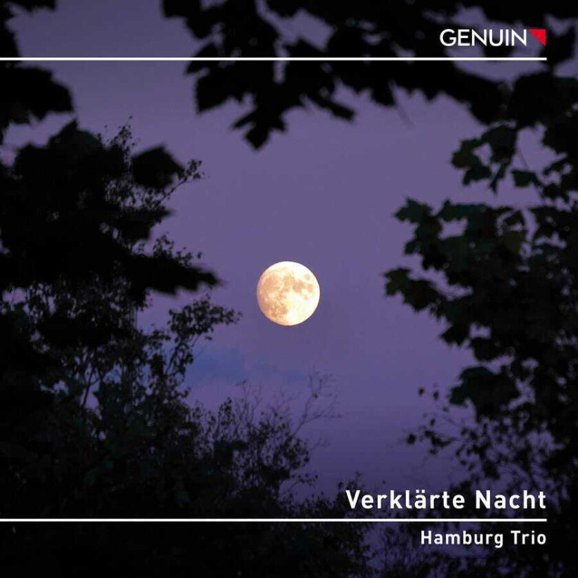 Alexander Von Zemlinsky, Hamburg Trio Verklarte Nacht CD