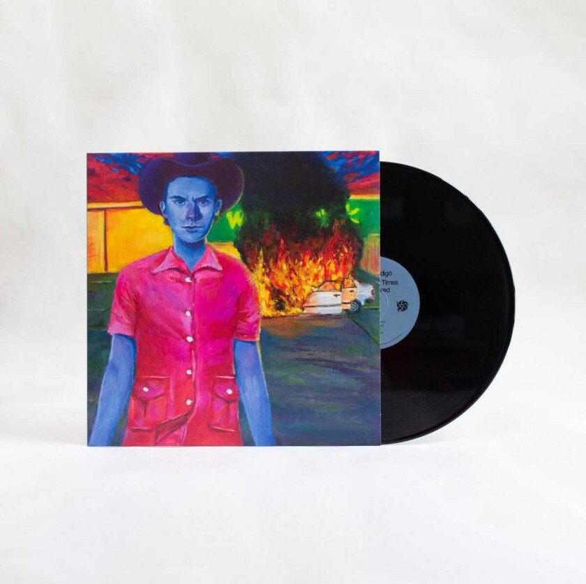 Hayden Pedigo The Happiest Times I Ever Ignored LP/Vinyl