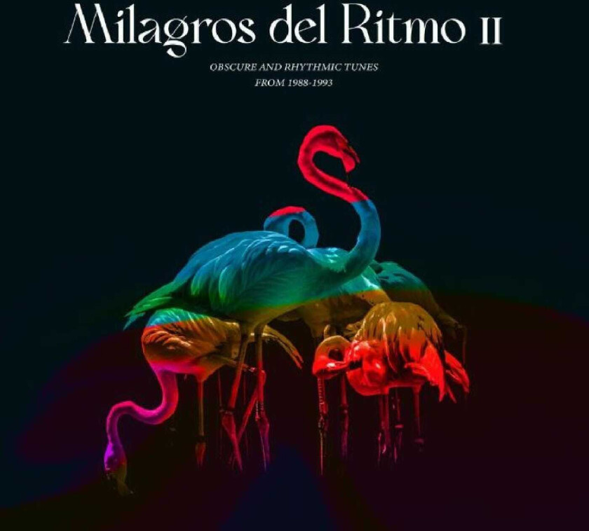 Diverse Electronica, José Manuel Milagros Del Ritmo II: Obscure And Rhythmic Tunes From 1988 1993 LP/Vinyl