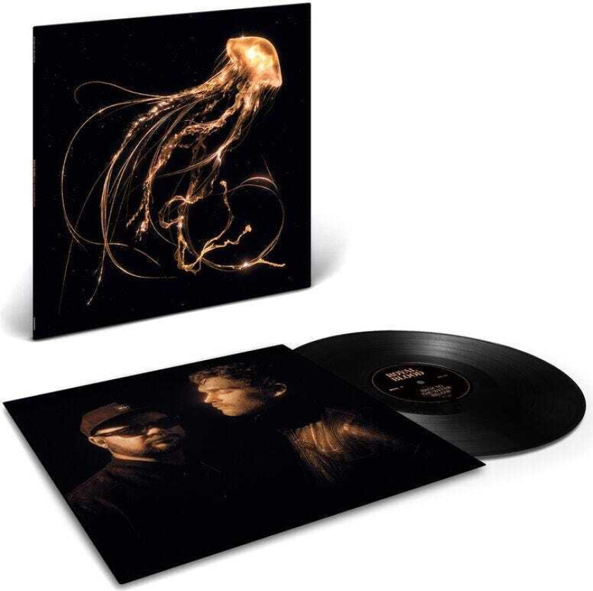 Royal Blood Back To The Water Below LP/Vinyl