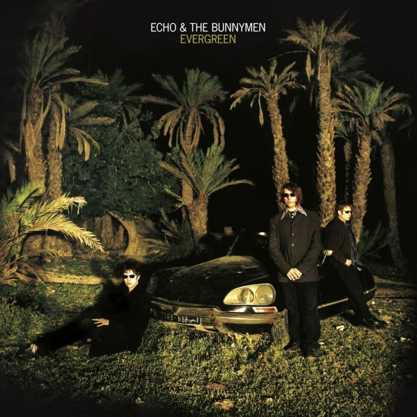Echo & The Bunnymen Evergreen CD