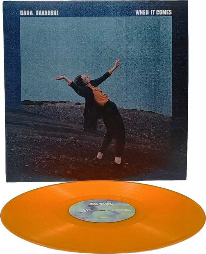 Dana Gavanski When It Comes LP/Vinyl