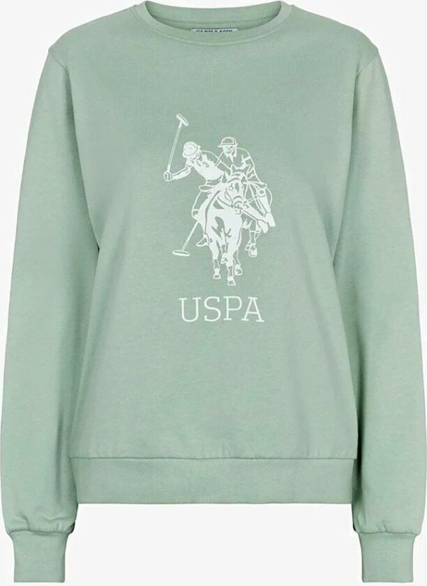 U.S Polo Carice Sweatshirt Grønn XXS