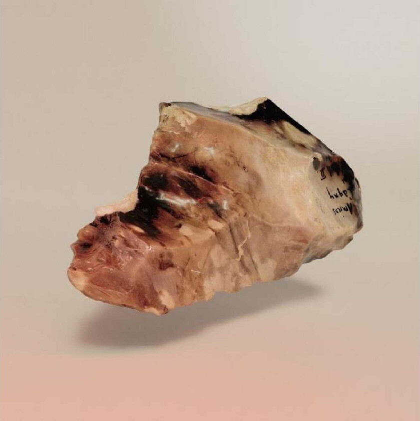 Fred Mann In Thy Domain LP/Vinyl